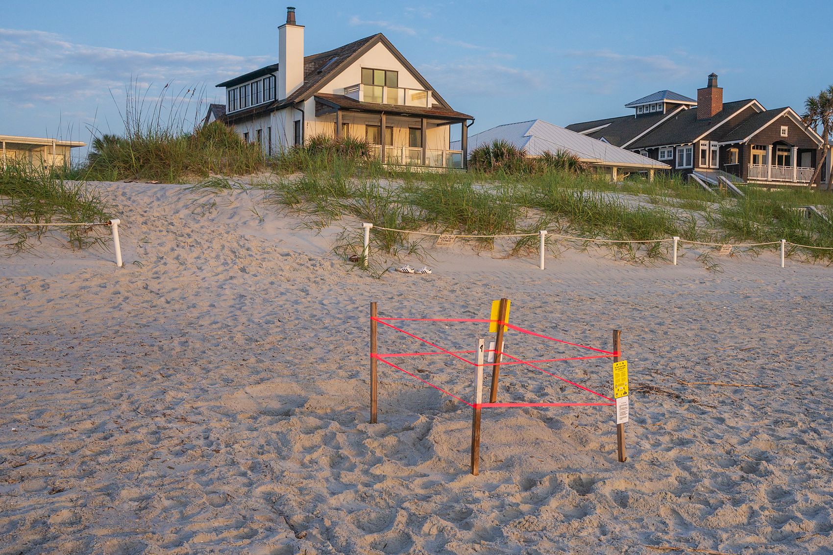 A staked and taped sea turtle nest on the beach with houses behind