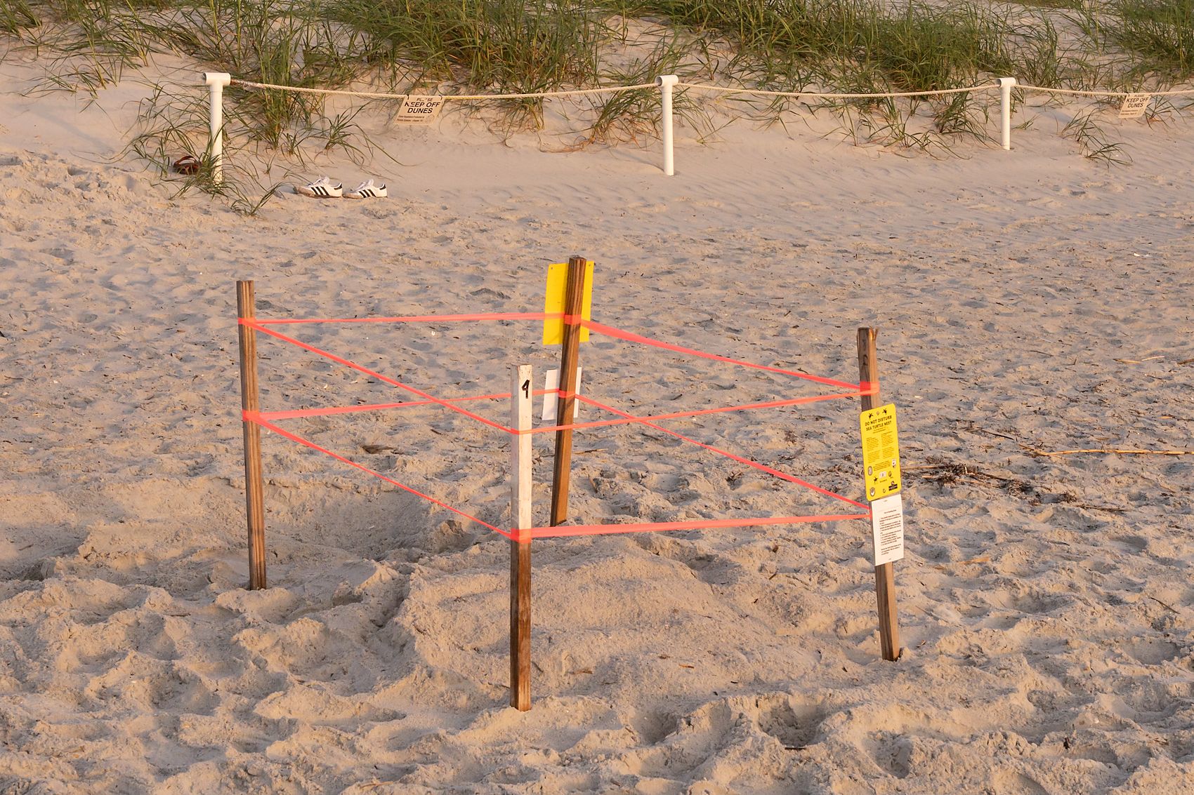 A staked and taped nest with a numbered post and warning sign