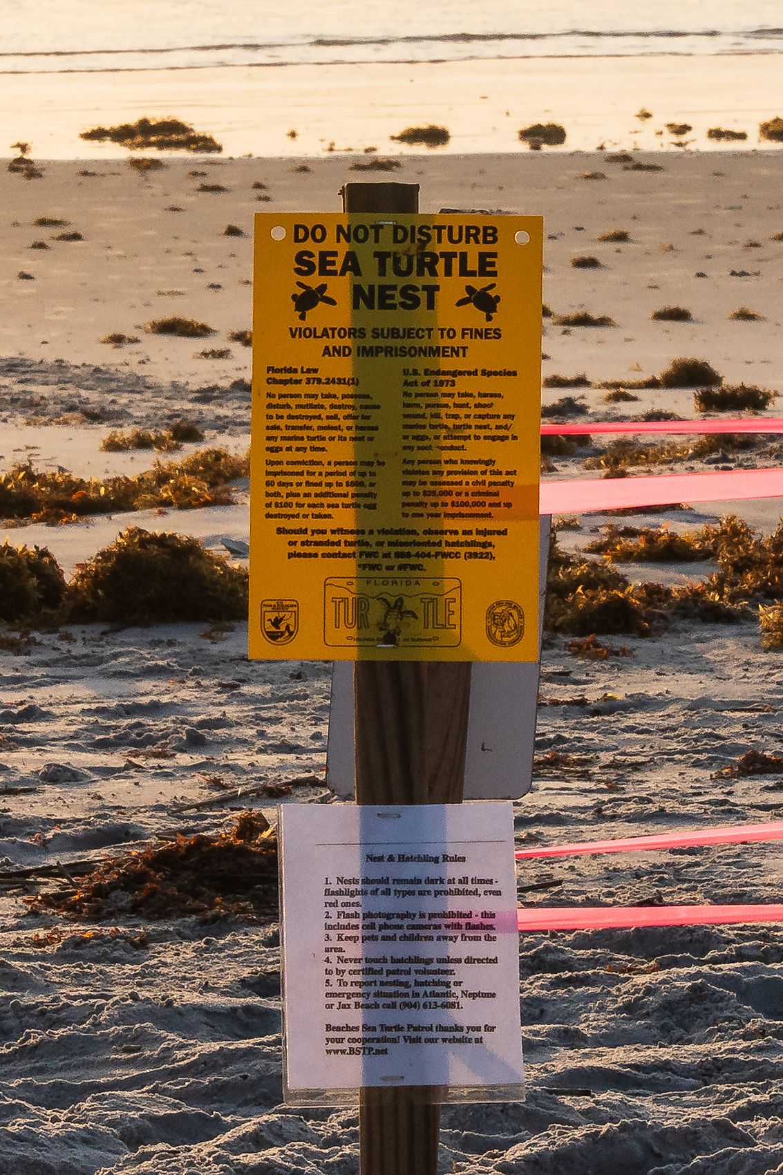 Do Not Disturb Sea Turtle Nest warning sign at golden hour
