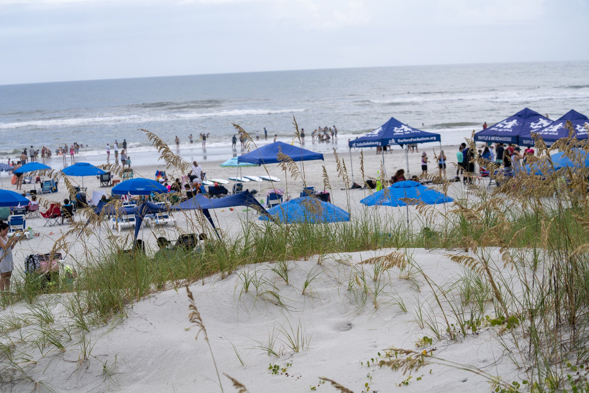 A view from the Jacksonville Beach dunes shows Surfers for Autism tents along the shoreline with the Atlantic Ocean beyond.