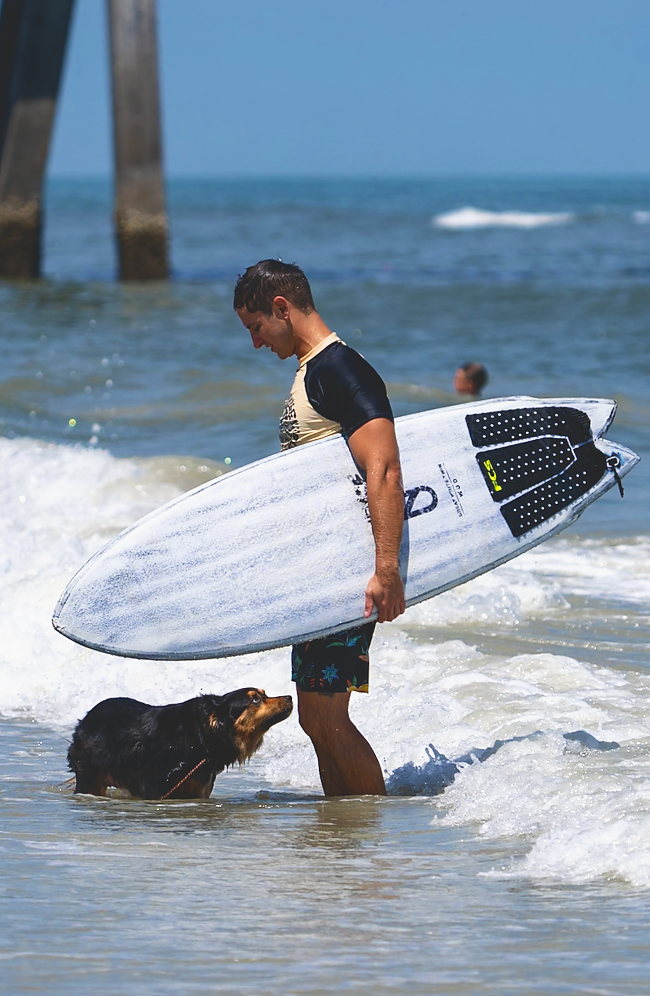A competitor walks out of the shallows carrying a board as a dog stands alongside.